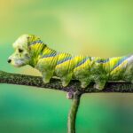 La transition ne suffit plus : place à la mutation